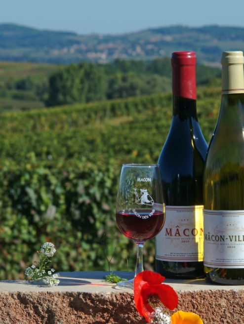 Vignobles du Beaujolais et du Mâconnais, les trésors de l’Ain et de la Bourgogne du Sud, à proximité du camping le Renom dans l’Ain