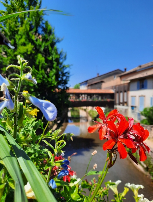 Berges fleuries