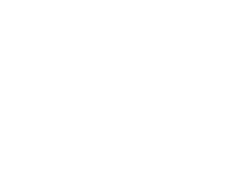 Flèche