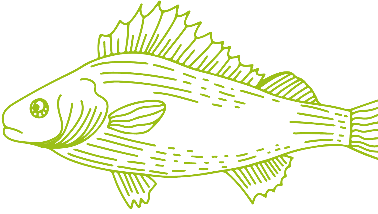 Illustration poisson