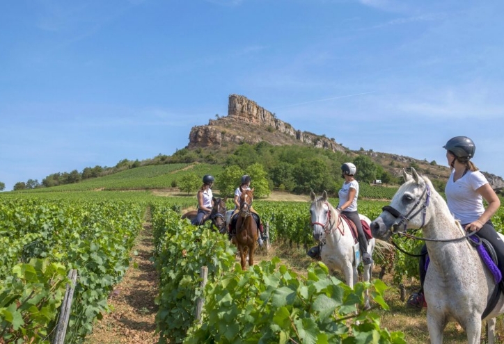 À proximité du camping le Renom dans l’Ain, l’association Les Sabots de Verres emmène les cavaliers, débutants comme chevronnés, à travers les vignobles du Mâconnais et du Beaujolais