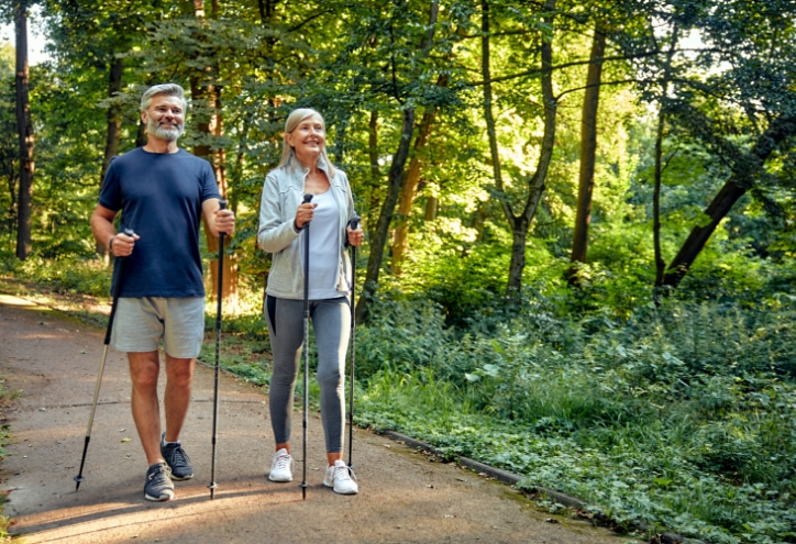 Promenades en forêt aux alentours du camping le Renom au cœur de la Bresse