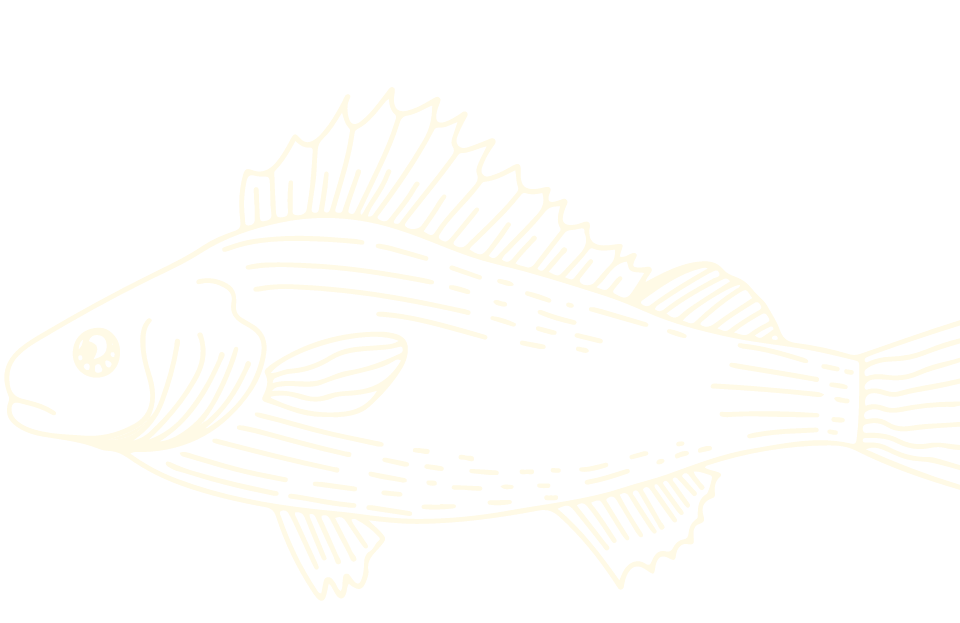 Illustration poisson