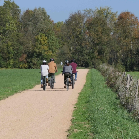 Chemins cyclables serpentant autour du camping près de Bourg-en-Bresse le Renom dans l’Ain 